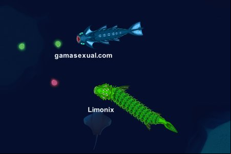 SeaDragons.io