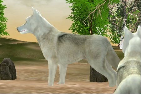 Wild Wolves